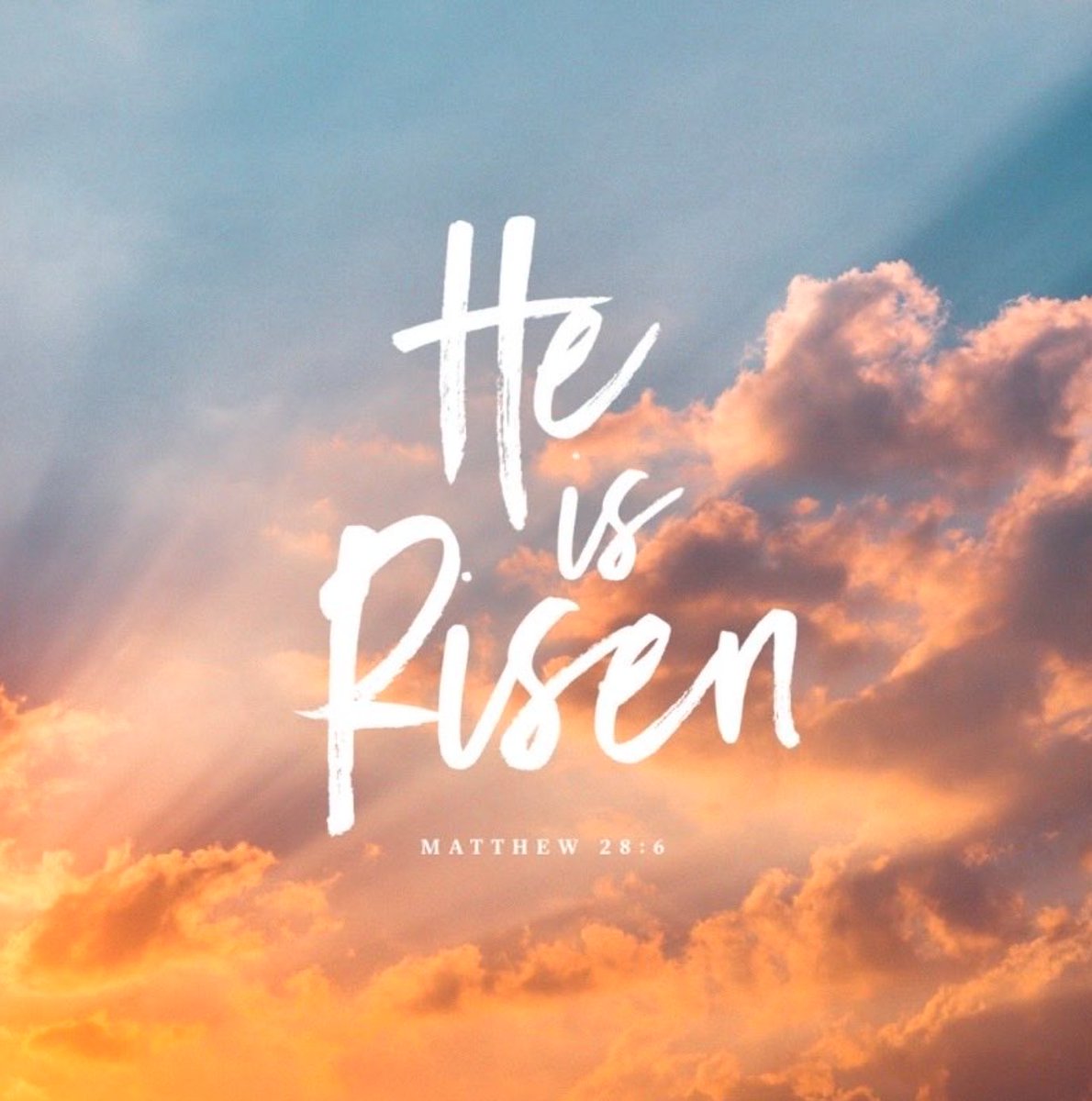 Gregory𝕏 G tweet media