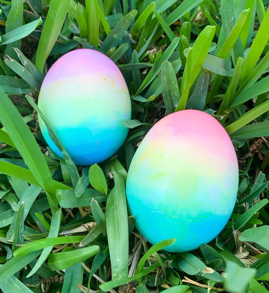 jas ໑̣💚 tweet media