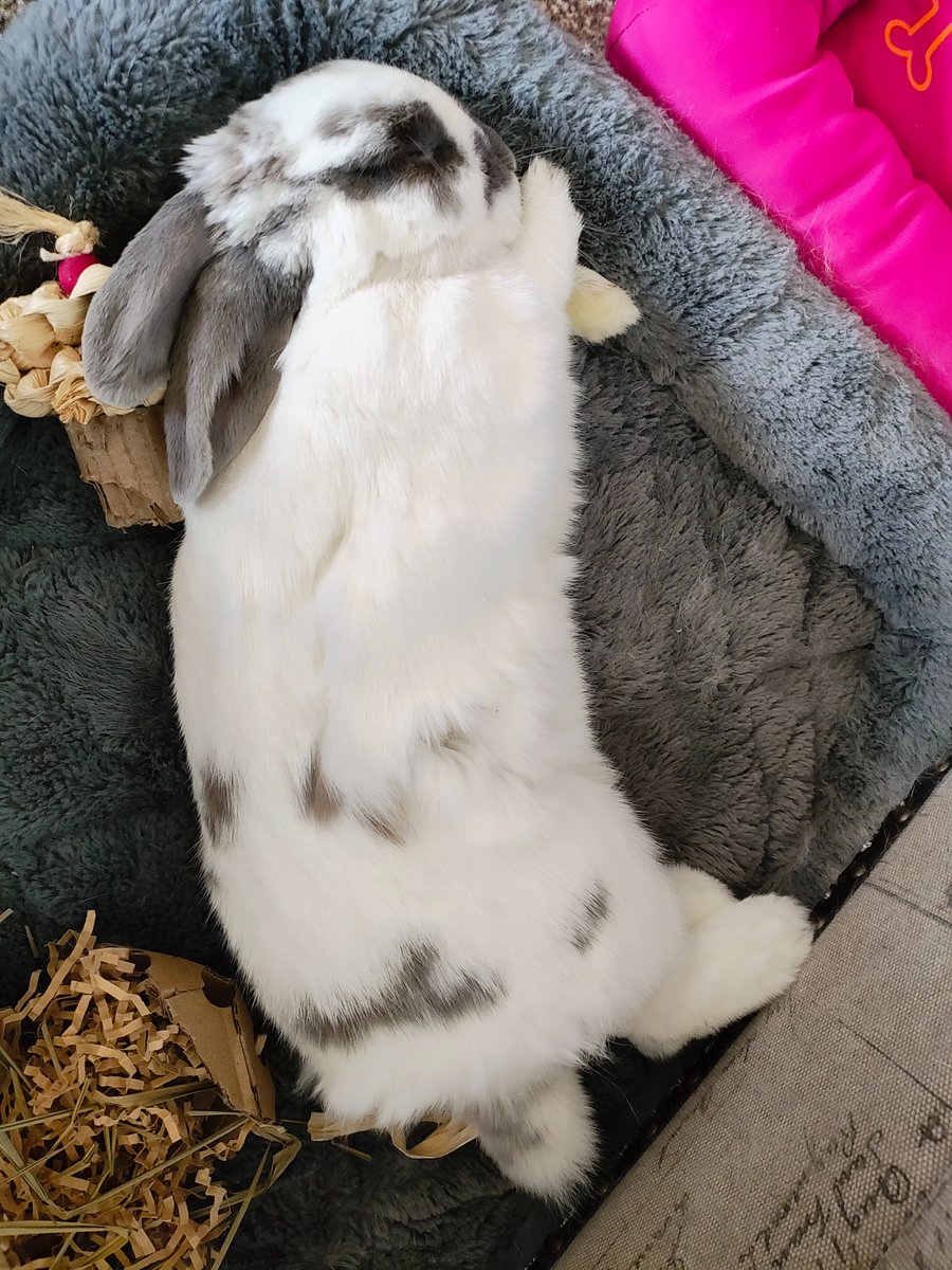 Princess Sephiroth 🍉 tweet media