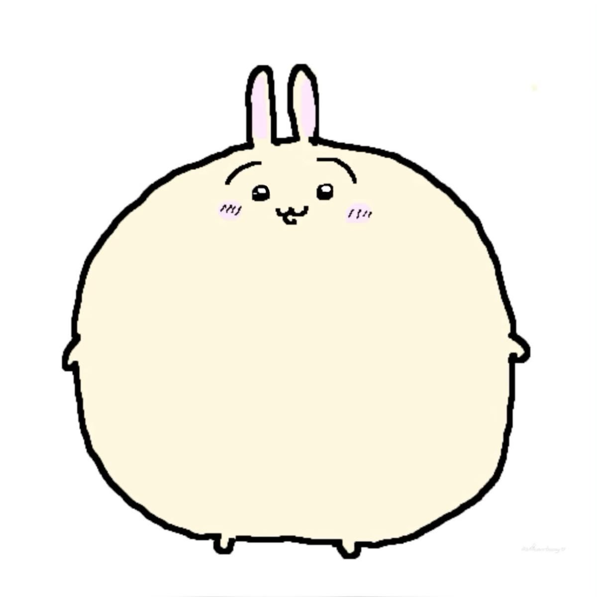 luuu (-4/10kg) tweet media