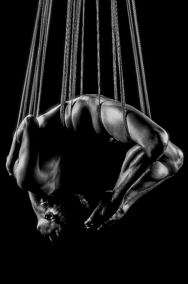 Soft & Owned tweet media