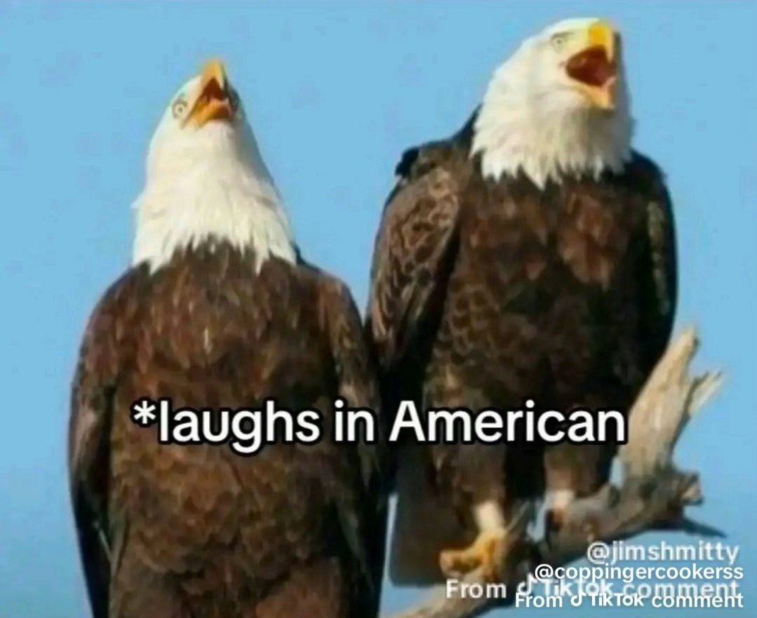 Steven 🇺🇸 tweet media