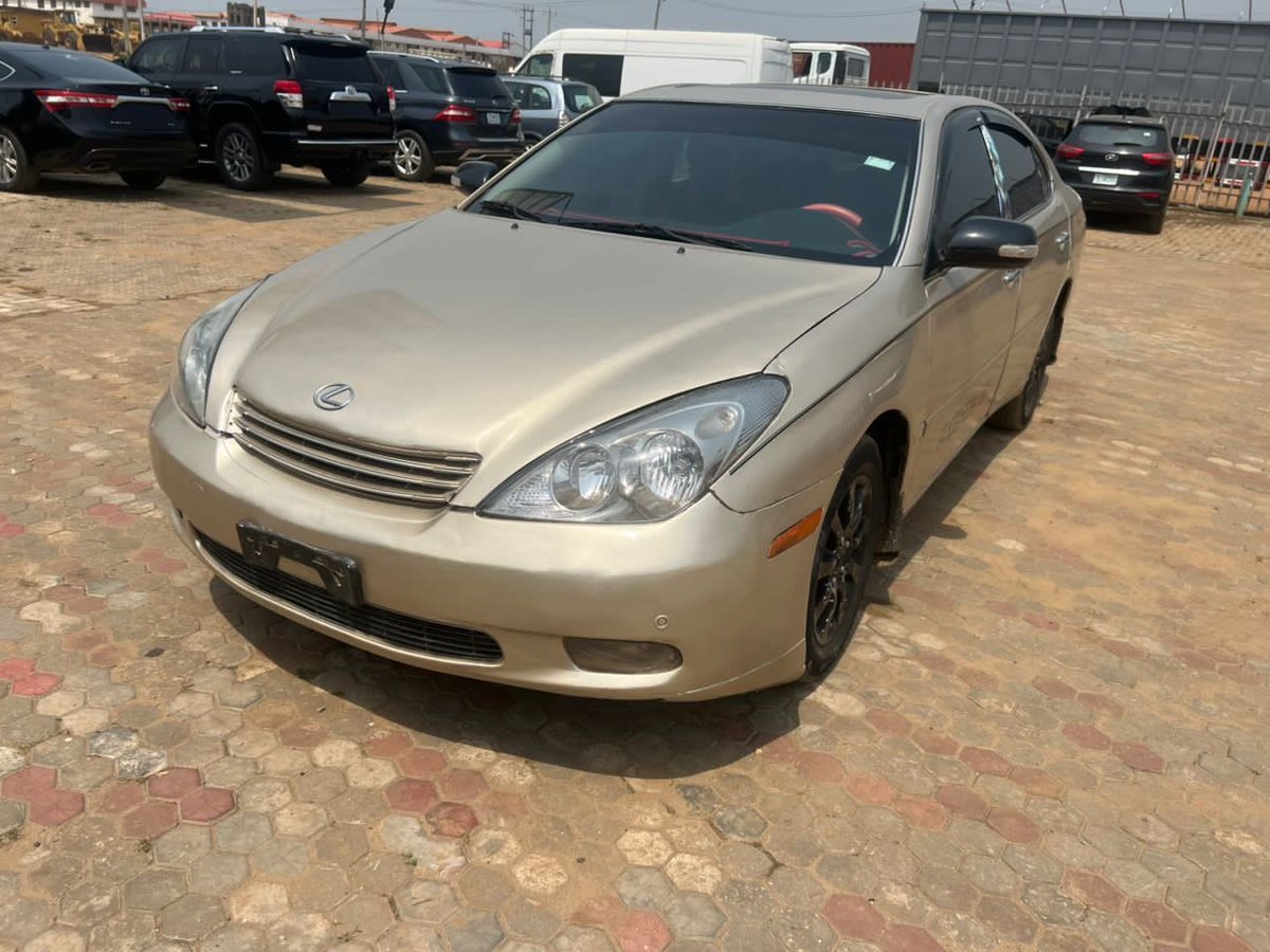 B¹G ZIM tweet media