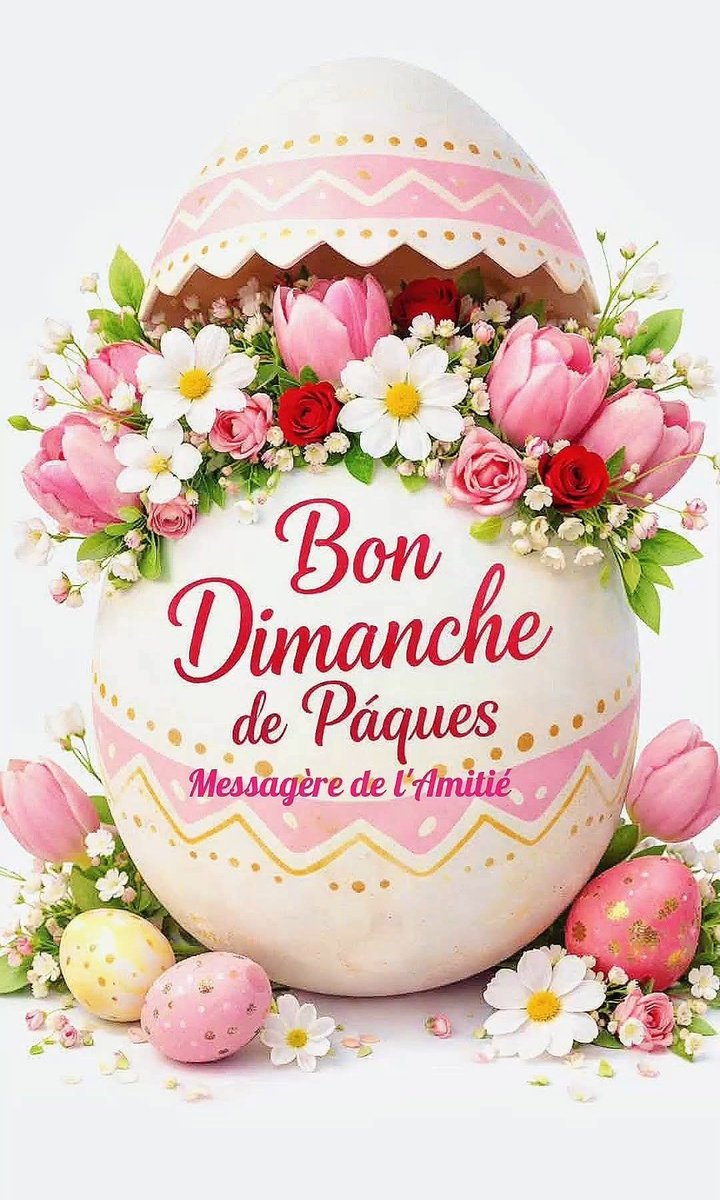 Dominique Roly tweet media