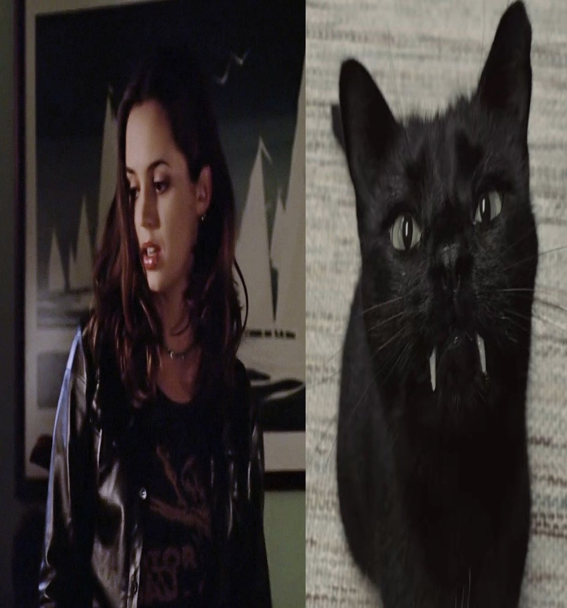 𐙚Luci!⚢ is pitt pilled!! tweet media