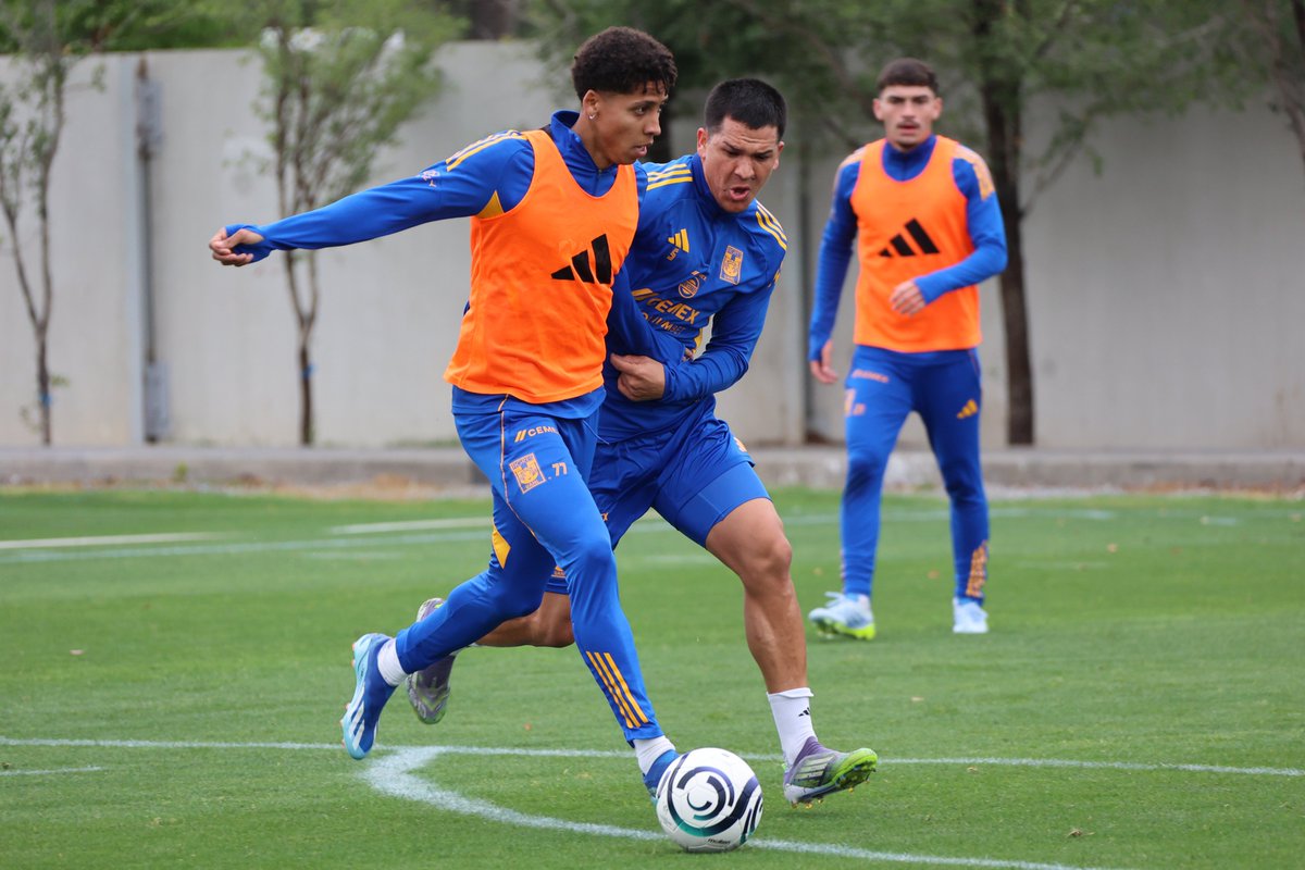 Club Tigres 🐯 tweet media