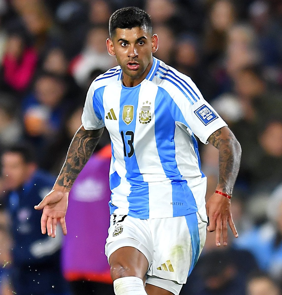 شبكة توتنهام tweet media