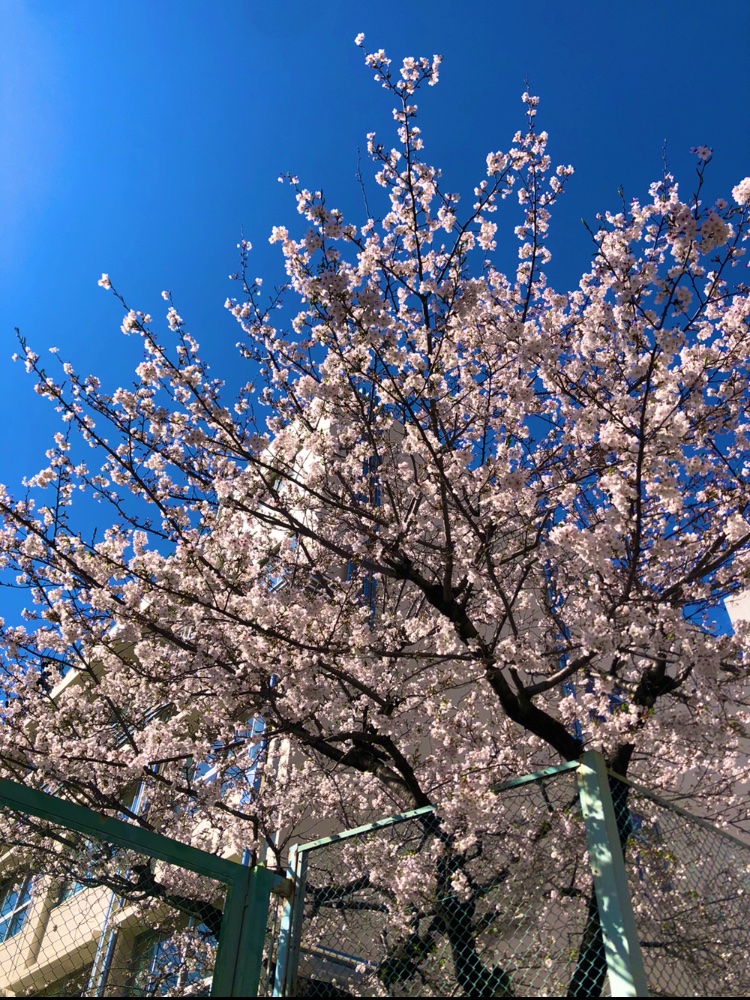ああああああぁあ初日だよおお

新しい事「上手くいくかわかんない」が邪魔をする。いい大人がウロウロさっきから何度も鏡ばっか見ているけど、覚悟を決めたんだろ❓

「感謝！絶好調！大丈夫！」