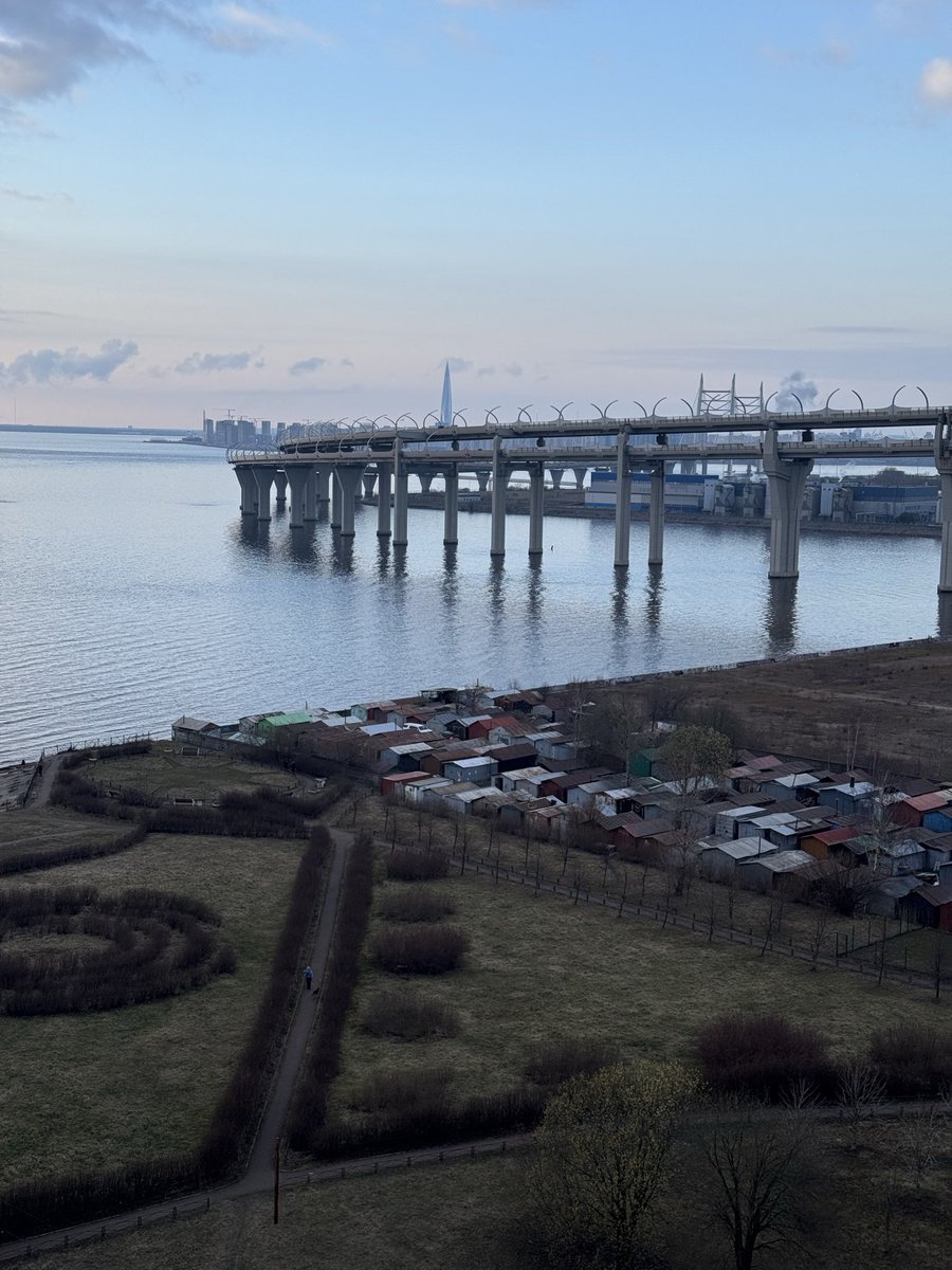 Лисонька tweet media