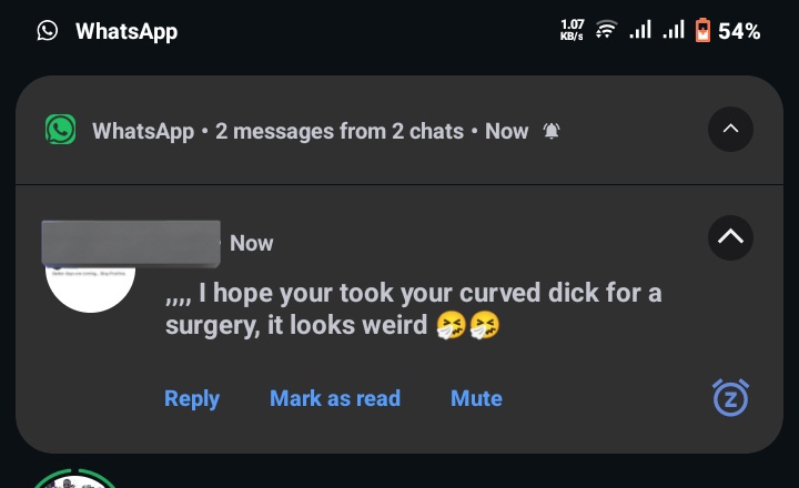 Grizzly🗽🍁 tweet media