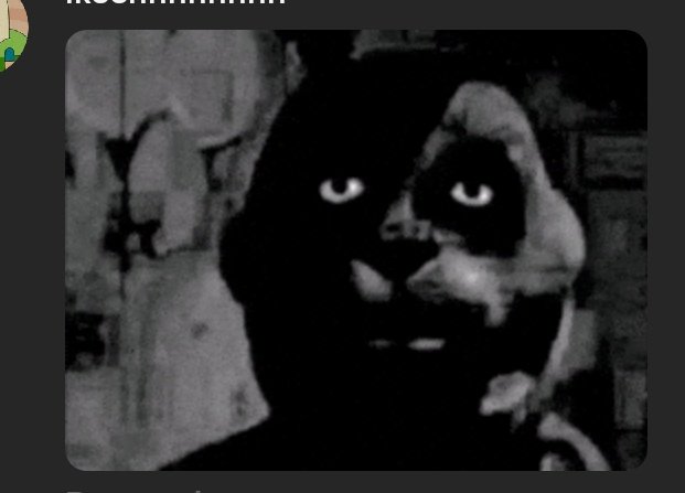 icardus 🇦🇷⭐⭐⭐ tweet media