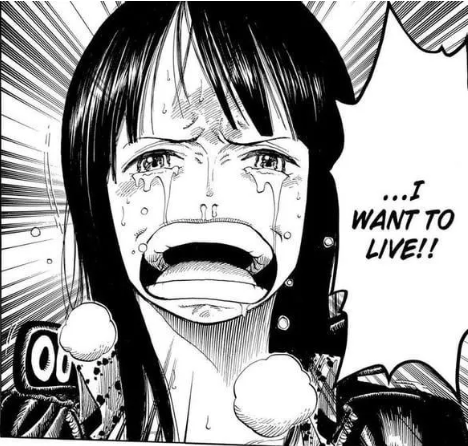 🇺🇸MEGO🇺🇸 tweet media