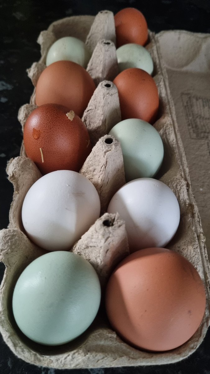 💚 P 🪴 tweet media