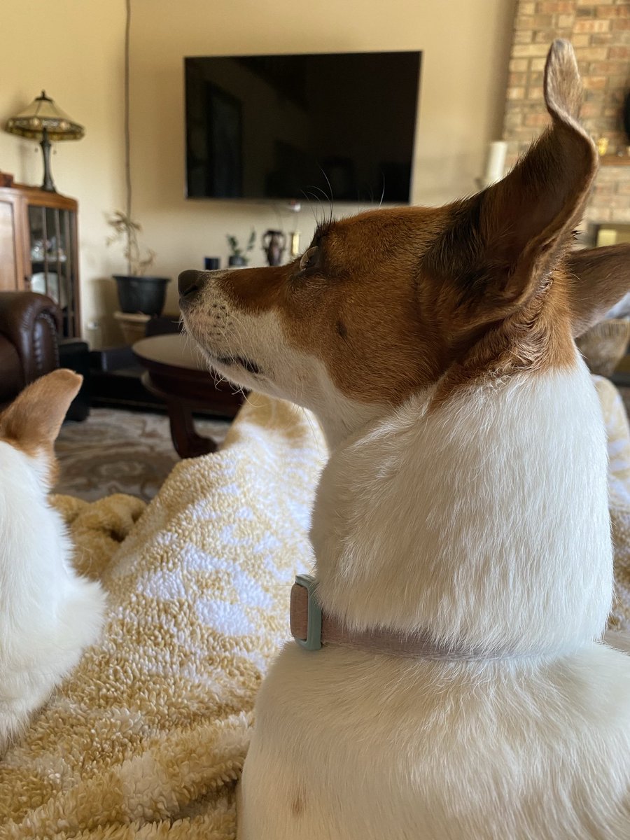 Franko 💥💥💥 tweet media