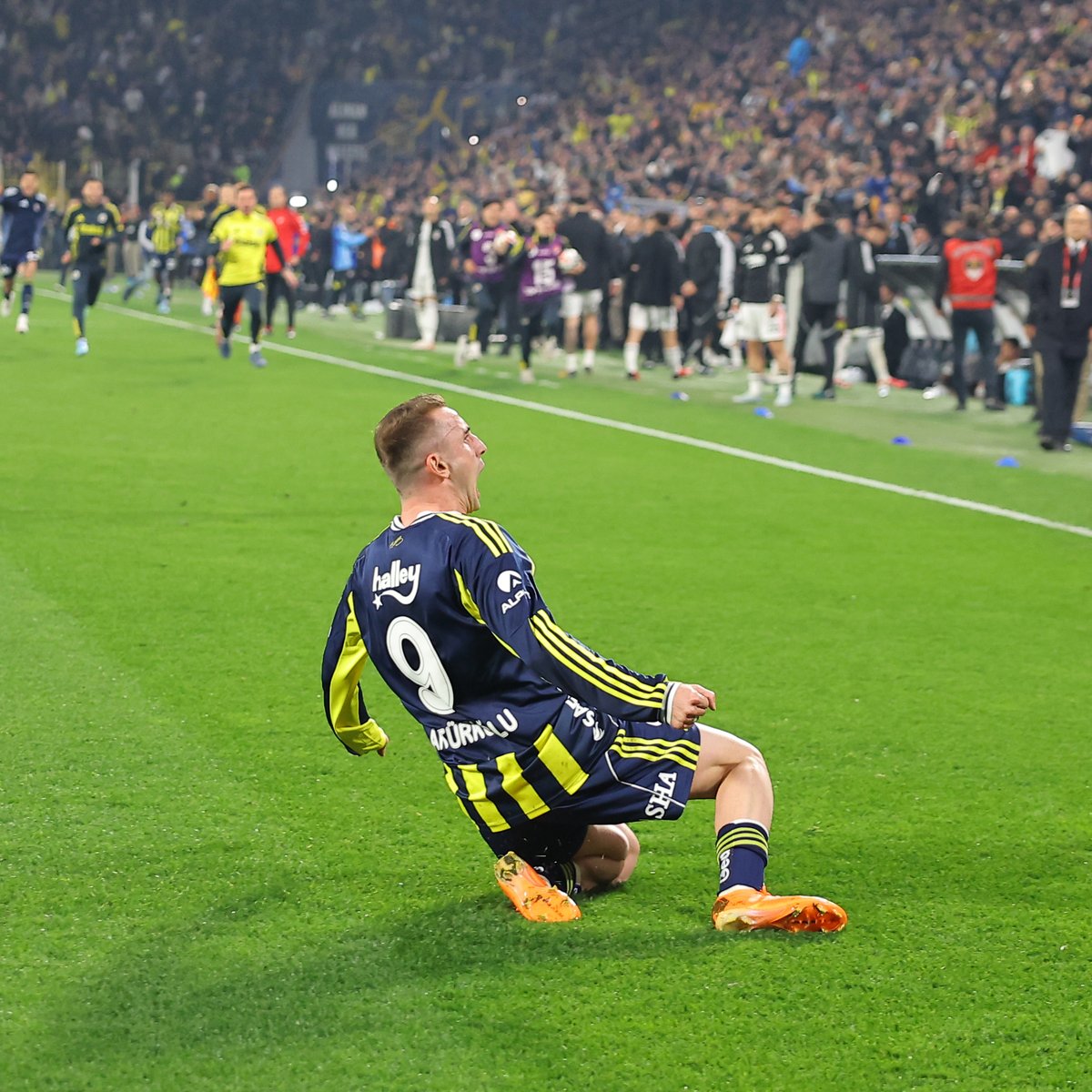 Fenerbahçe SK tweet media