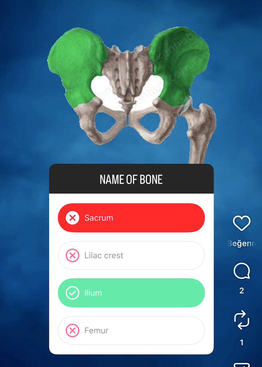 cukutay ve pipican tweet media