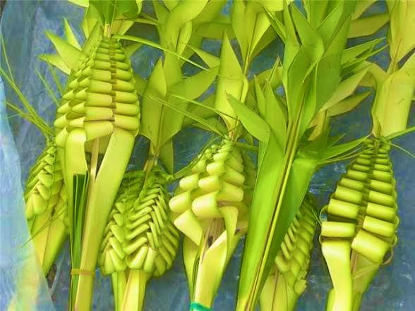 Peter Kozman tweet media