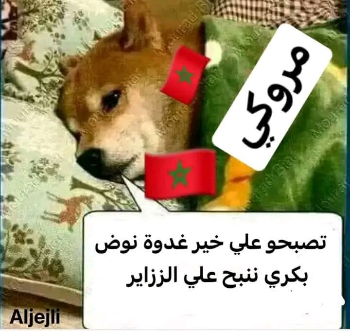 Farid Betchis tweet media