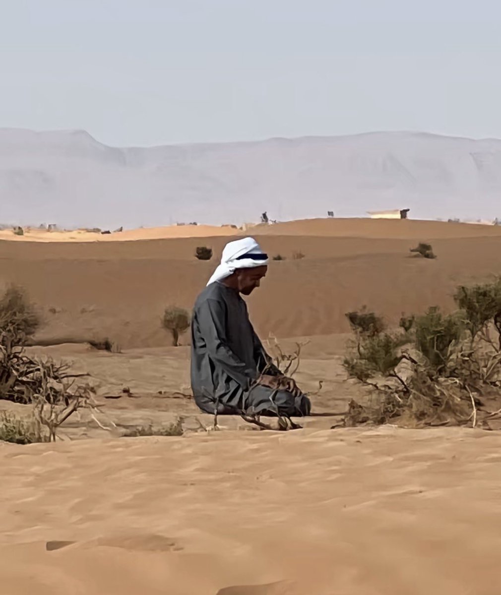 ابناء زايد tweet media