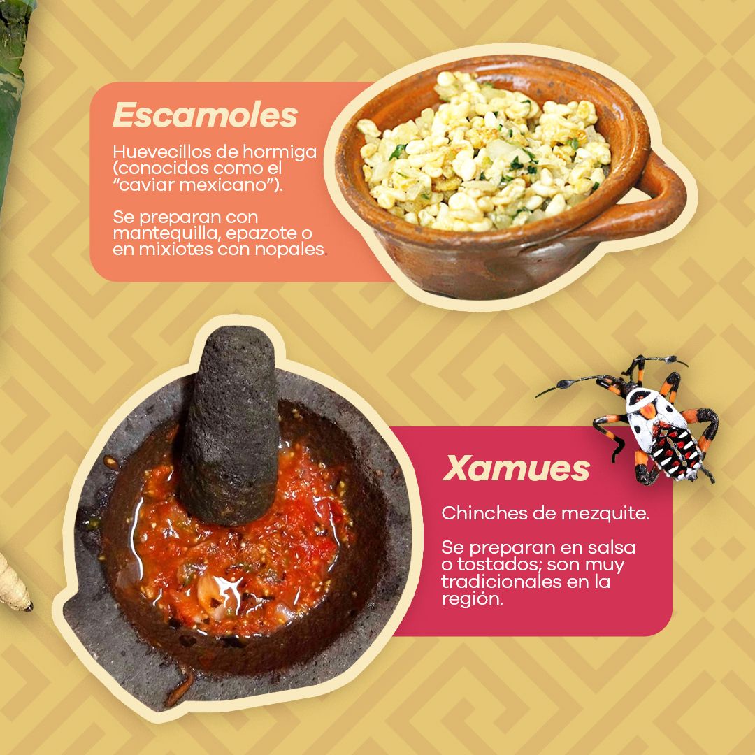 Simey Olvera tweet media