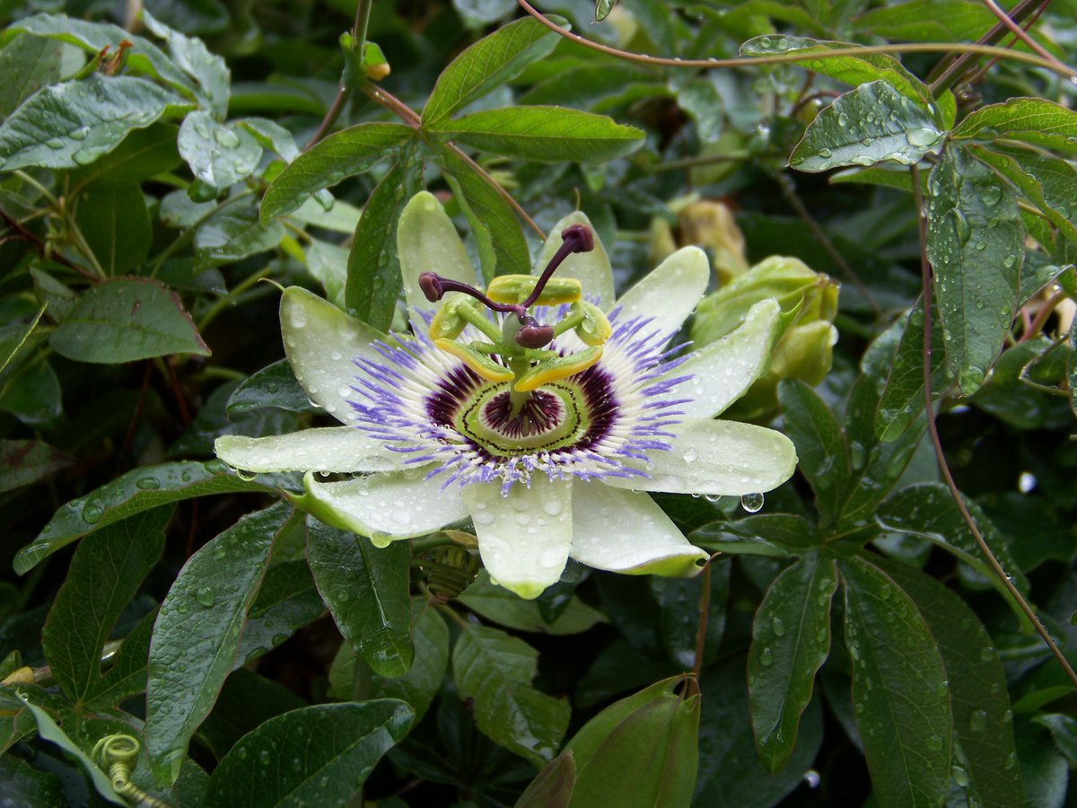 Dee “AdvocacyArena”🌻(Nature lover)🌻 tweet media