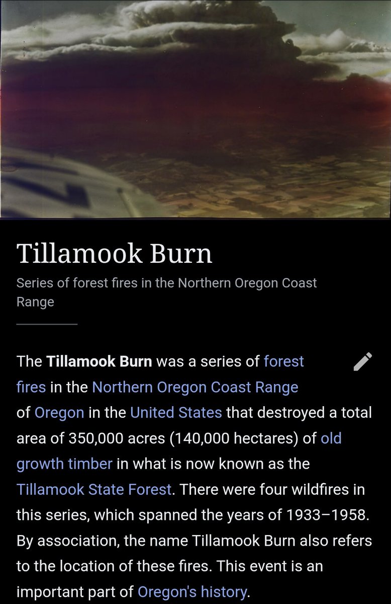 socialism with midwestern characteristics tweet media