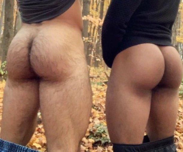 Hairy Guys/Hunks/Dilfs/Dads/🐻 tweet media
