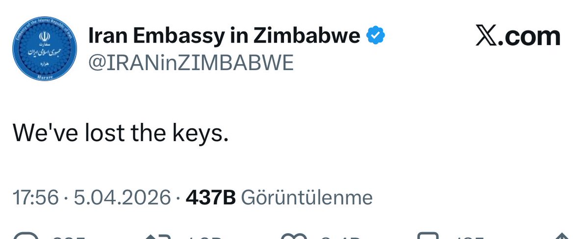 DİGİ PAPER tweet media