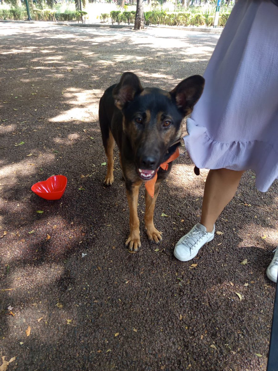 𝙷𝚎𝚕𝚊 𝙼𝚘𝚛𝚎 🐶 tweet media