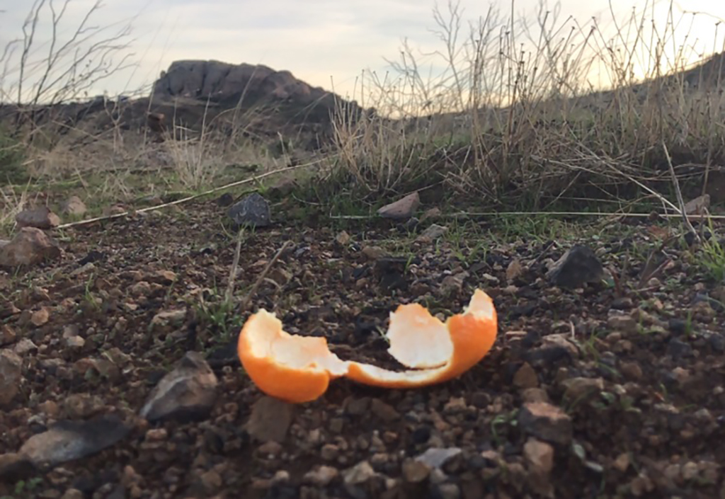 Give A Shit About Nature tweet media