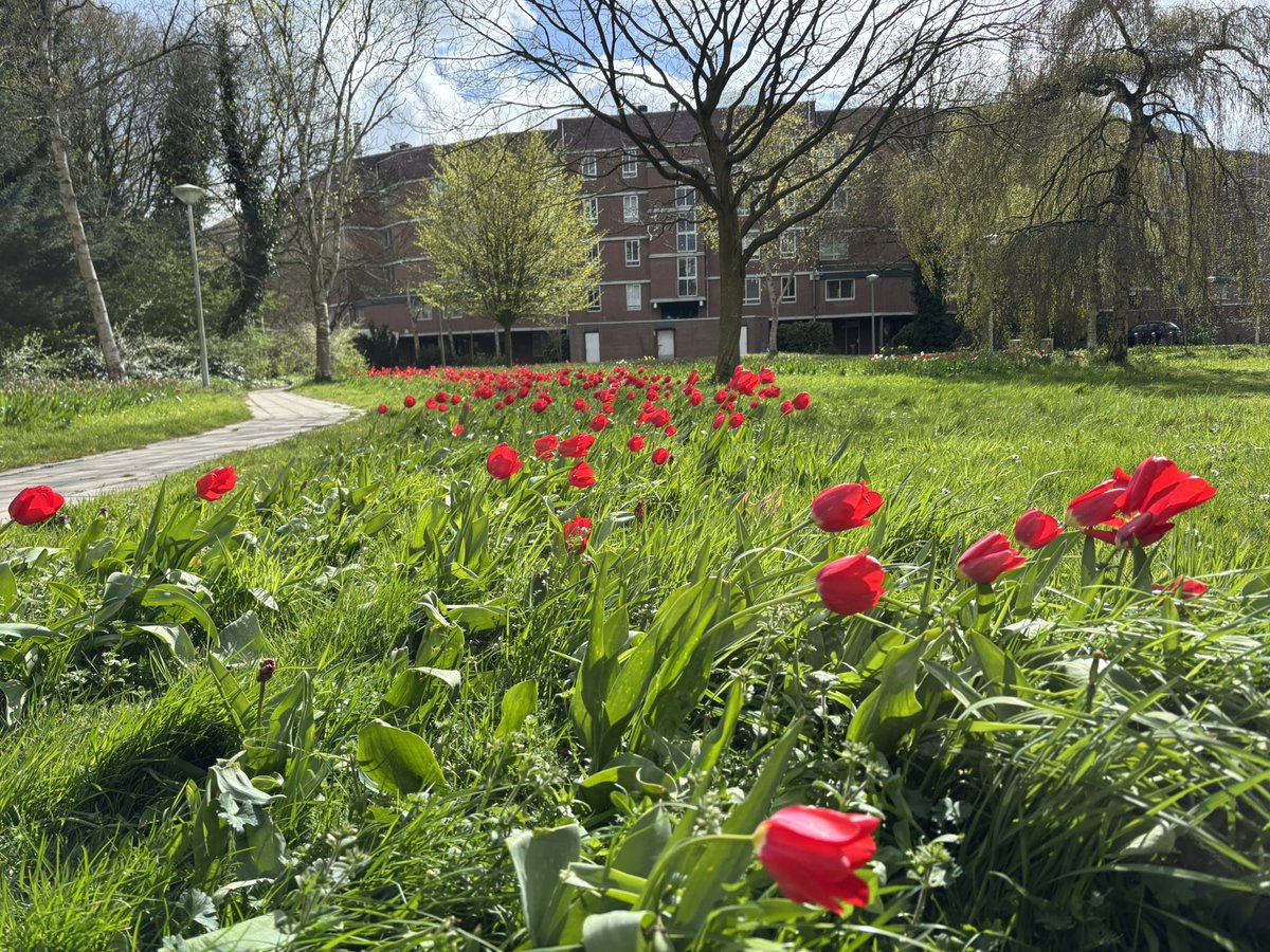 56歳乗り鉄、英語力0でオランダへ転勤?ドタバタ海外生活! tweet media