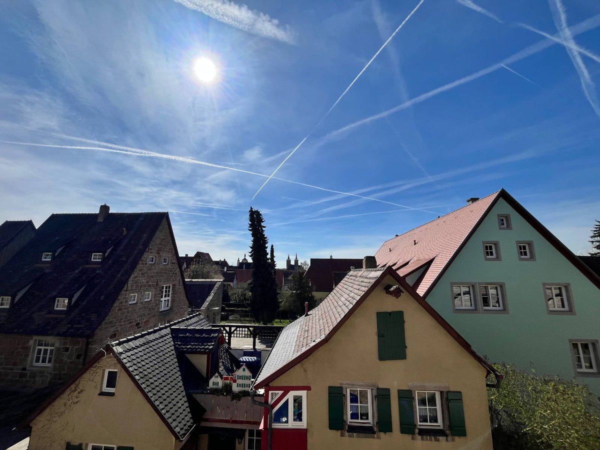 Doctora Cristina Martín Jiménez tweet media