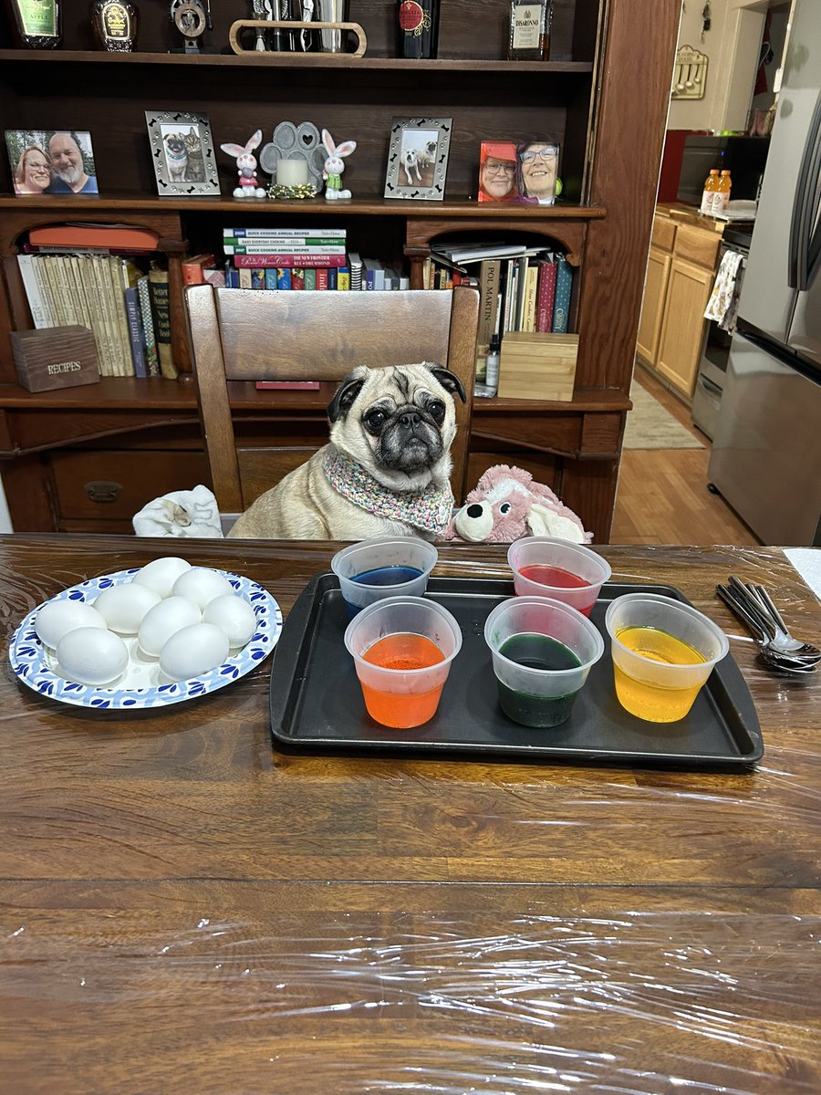 Lt. Petunia Mae Parker 🐷🐑 tweet media