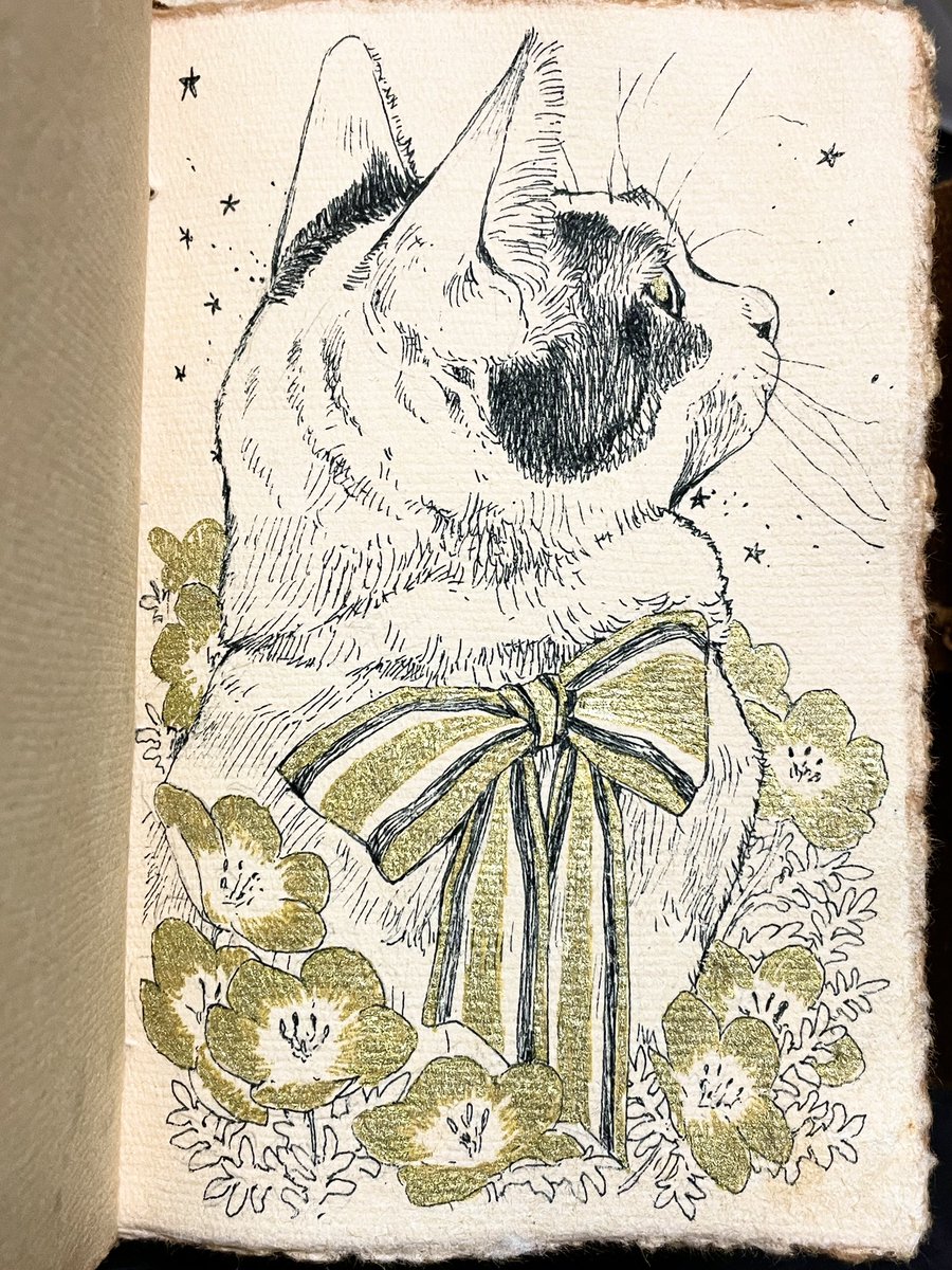 お花畑
#アナログ
#イラスト
#ペン画
#illustration
#ねこ