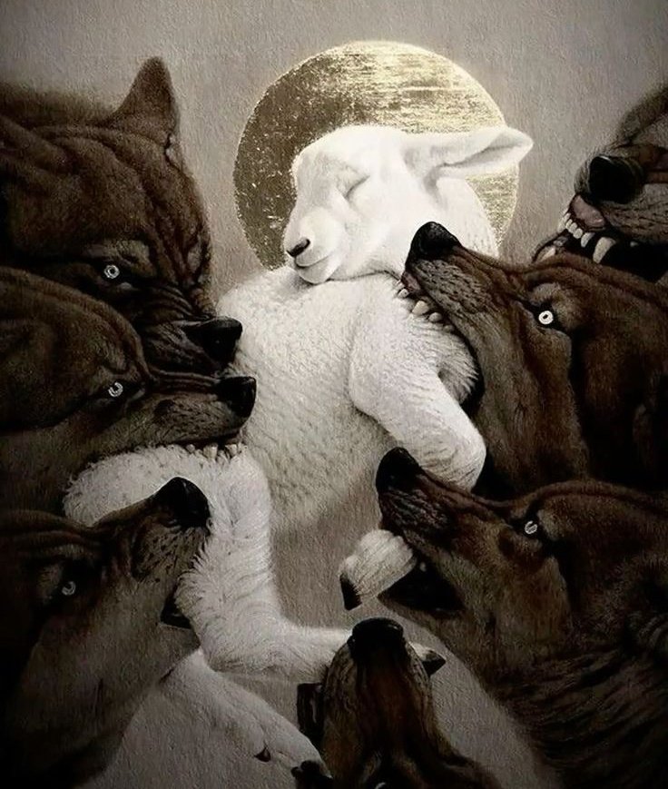 𝙉𝙞𝙣𝙣𝙚 ☘︎ tweet media