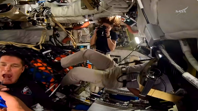 The Cheshire Cat 🐈 tweet media