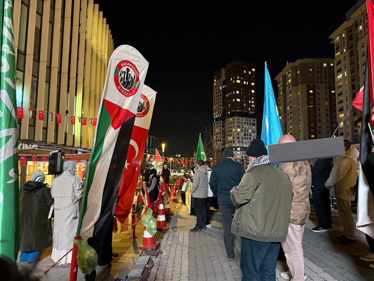 Selefiselef tweet media