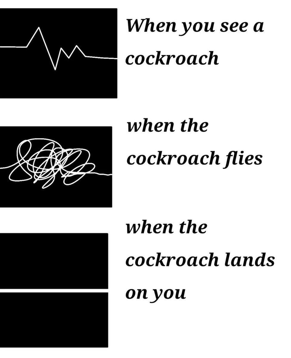 more_meat_loaf tweet media