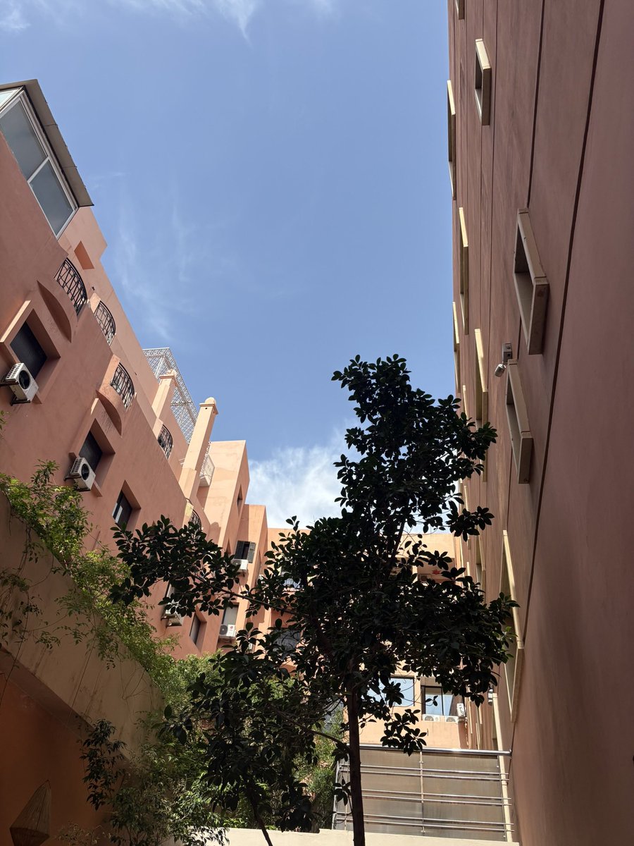 maria ˚୨୧⋆ tweet media