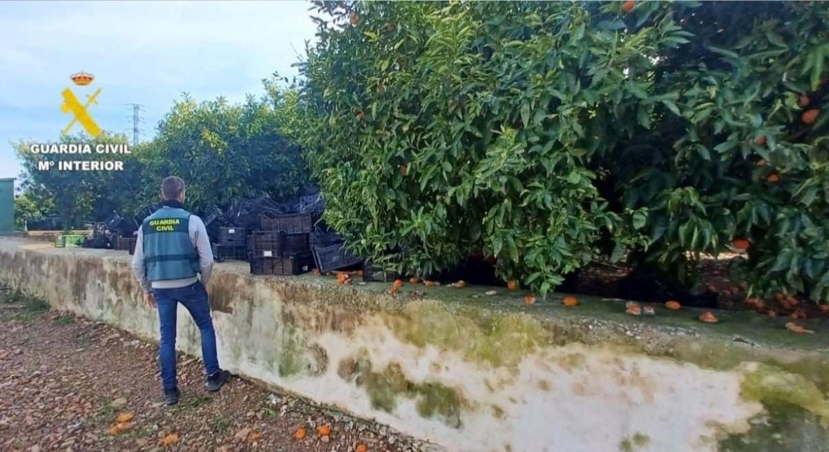 Actualidad Noticias tweet media