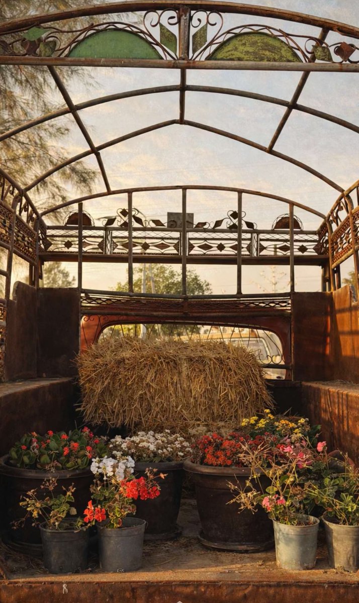 روَان tweet media