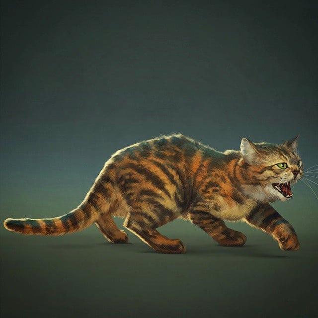 Mac Smith tweet media