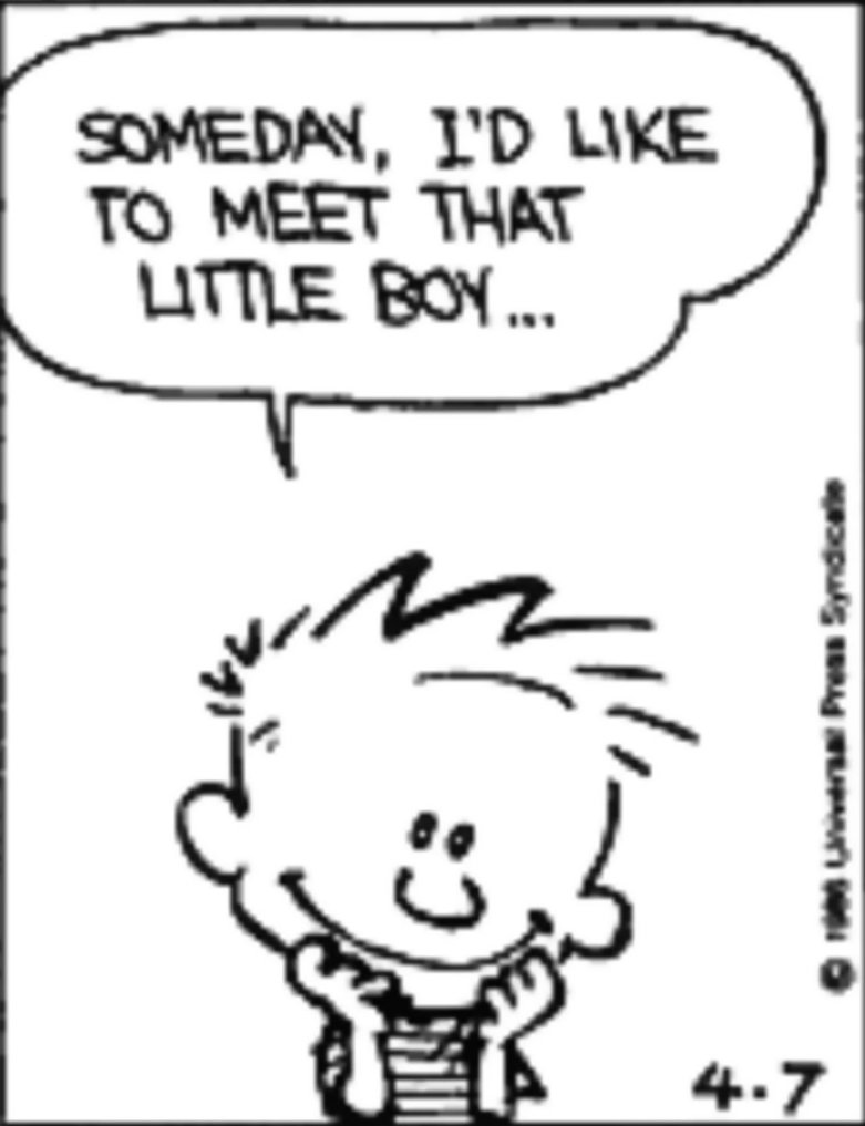 no context Calvin & Hobbes tweet media