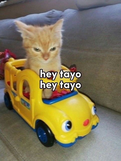 azra ENHYPEN IS SEVEN tweet media