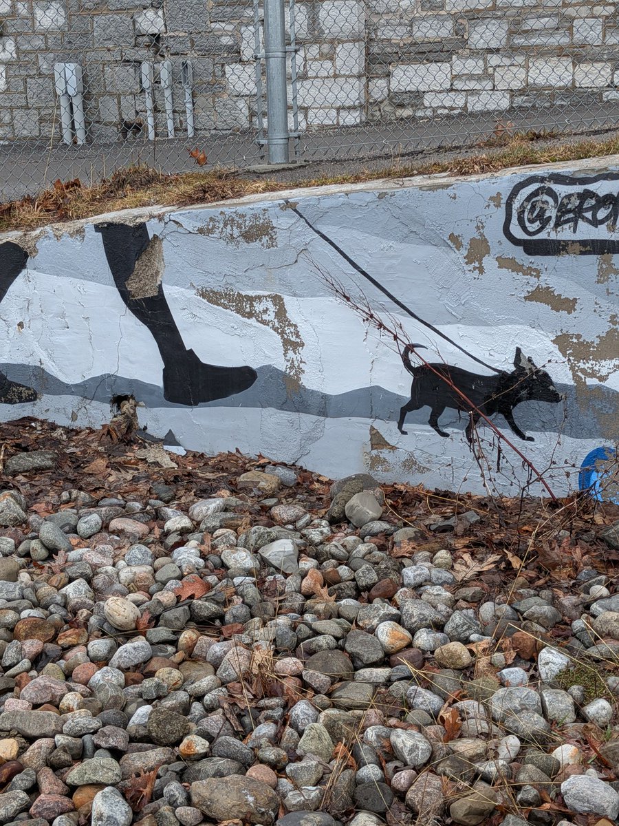 Barnaby Bear tweet media