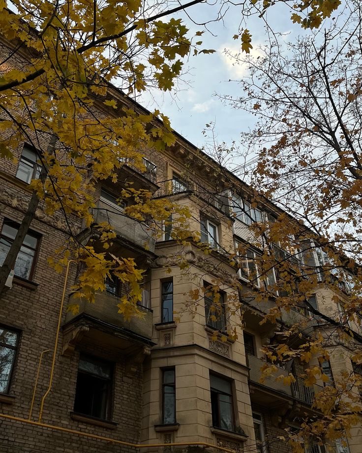 Cerberus 🍉 tweet media