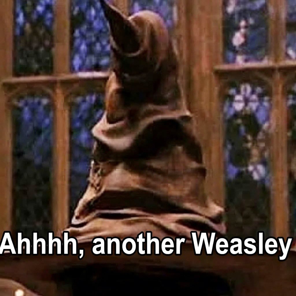 Daily Harry Potter tweet media