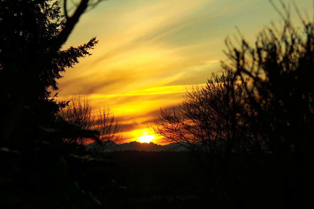 D Roc Bottom tweet media