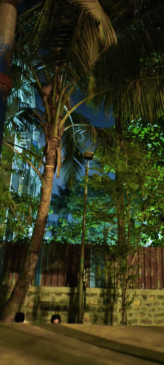 MAHARASHTRA tweet media