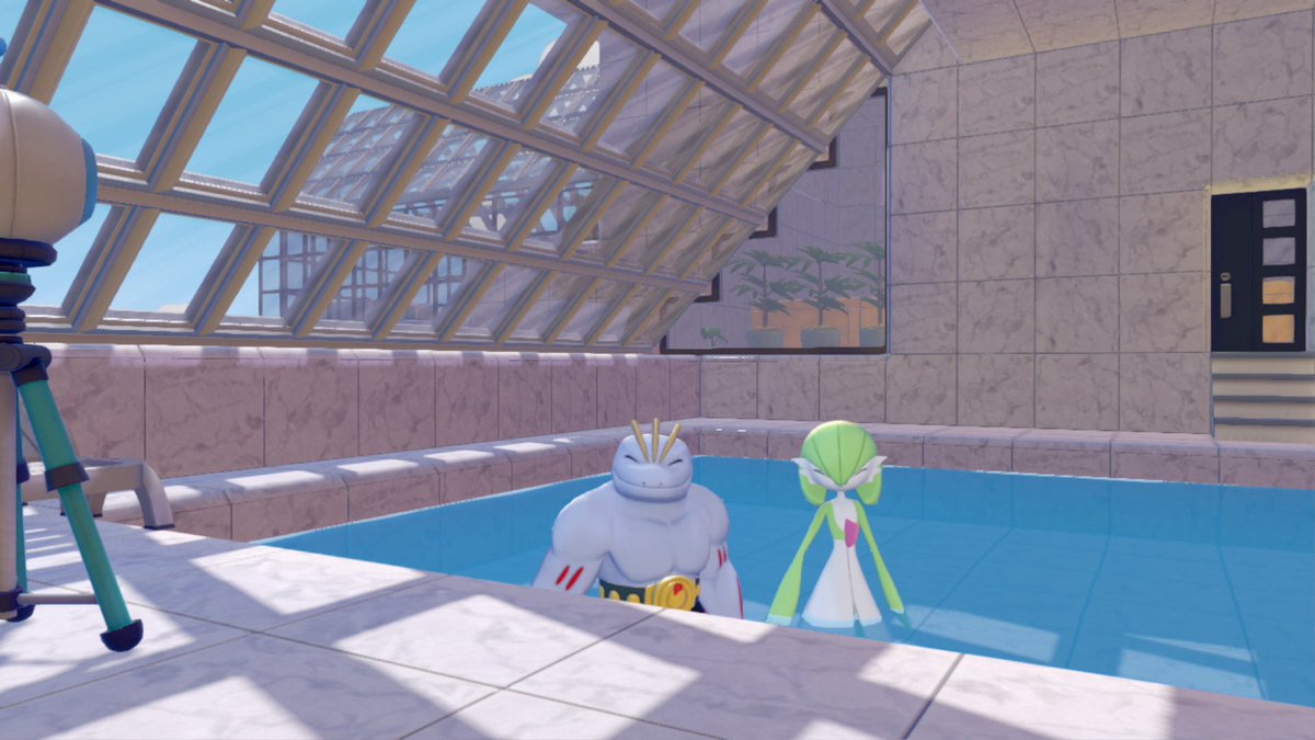 DVホゲータ tweet media